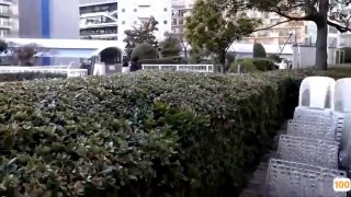 国产🈚码在线成人网站